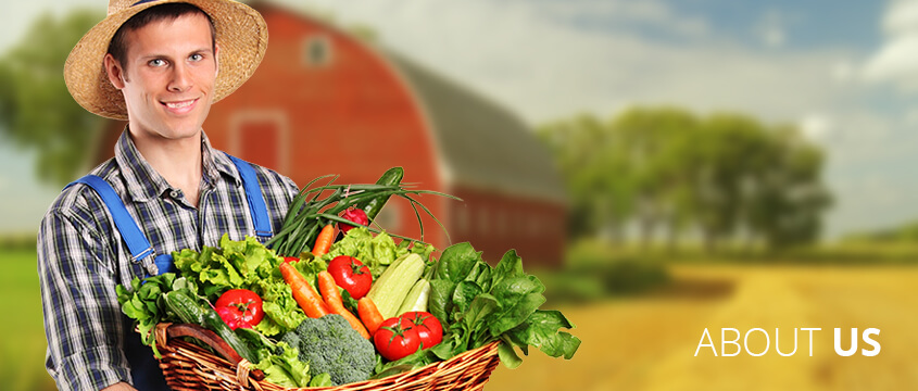about_foodfarm