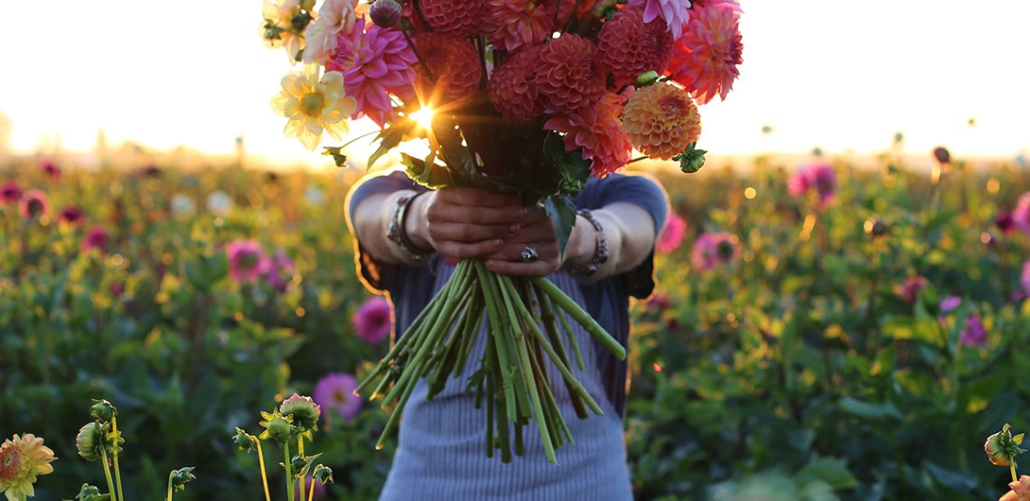 blog-flower-1 blog-flower-1